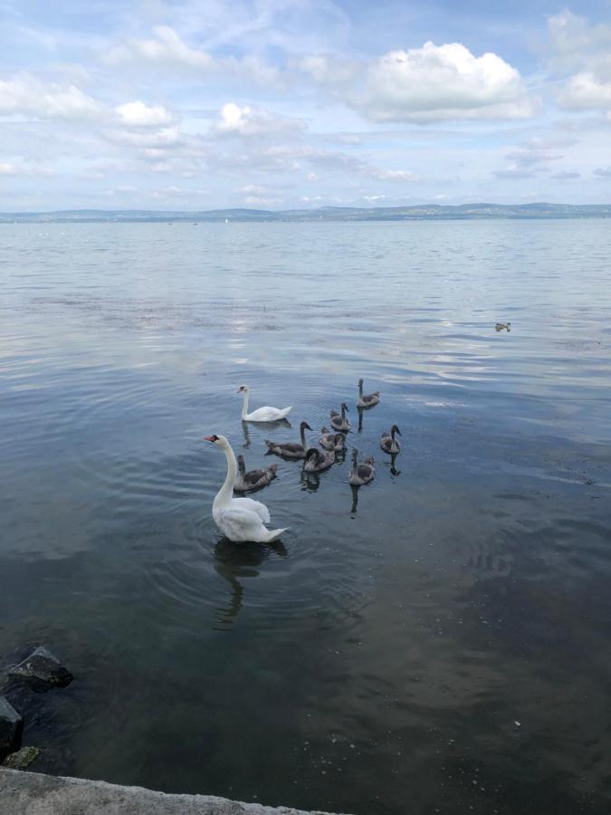 Topartihaz バラトンサールソー エクステリア 写真